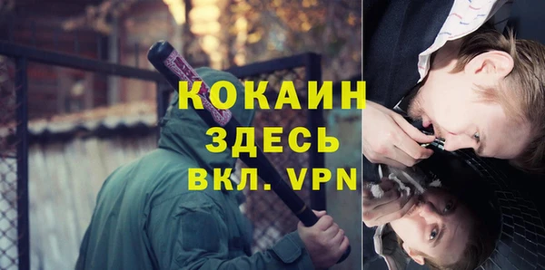сатива Армянск